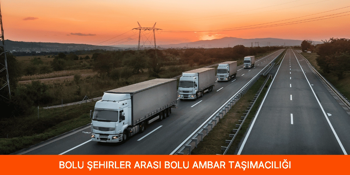 Şehirler Arası Bolu Ambar Taşımacılığı